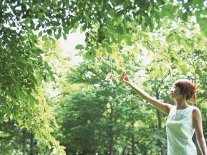 誰でも今すぐできる７つの幸せの種まき