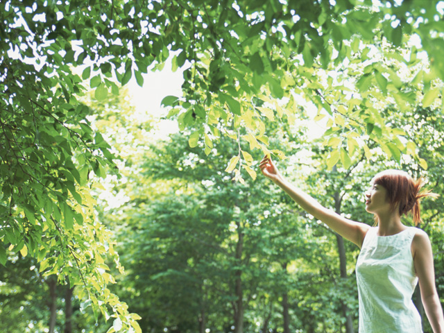 誰でも今すぐできる７つの幸せの種まき